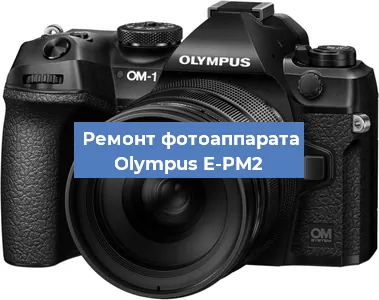 Замена шторок на фотоаппарате Olympus E-PM2 в Челябинске